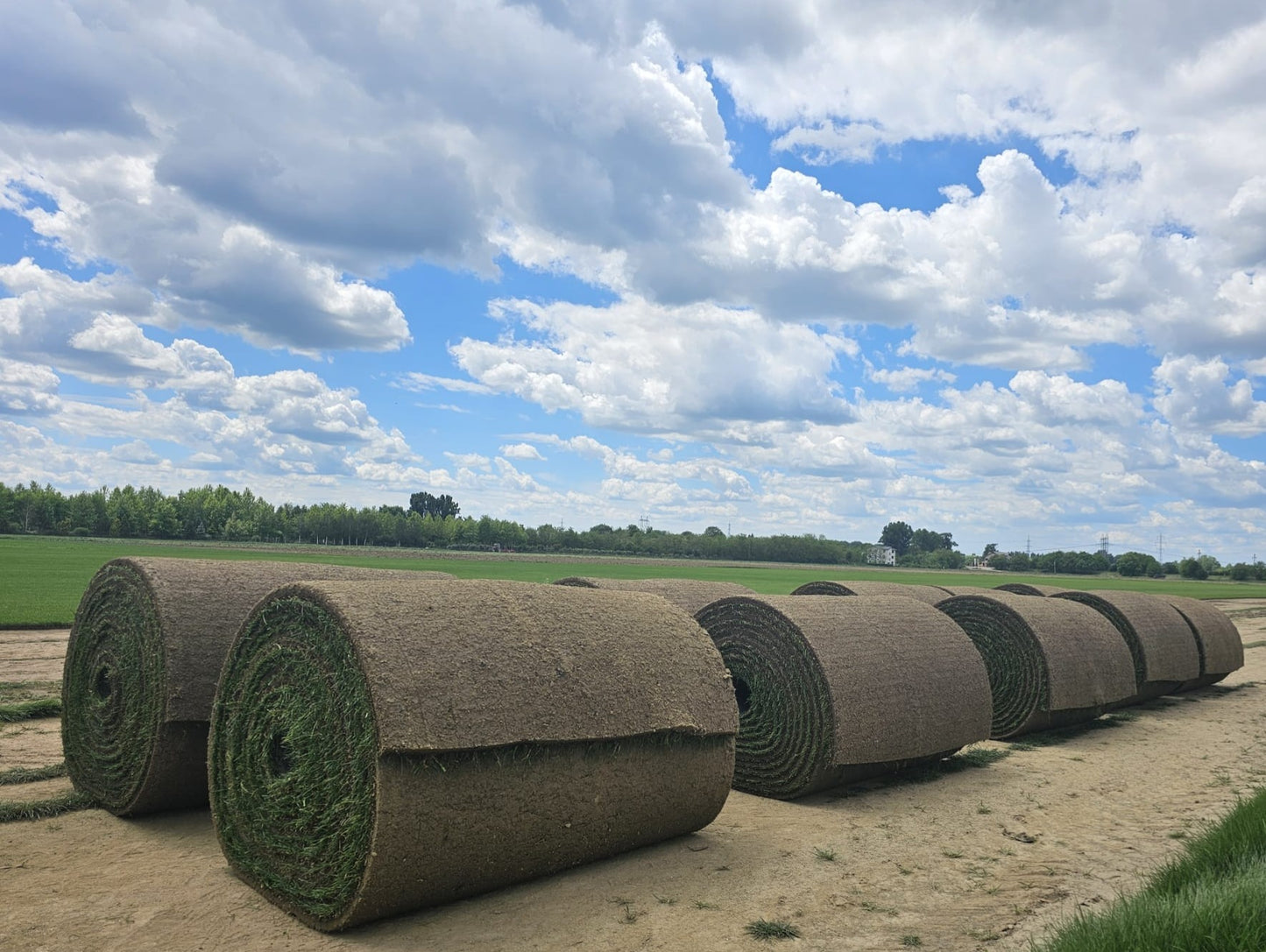 Rulouri de Gazon Supersport