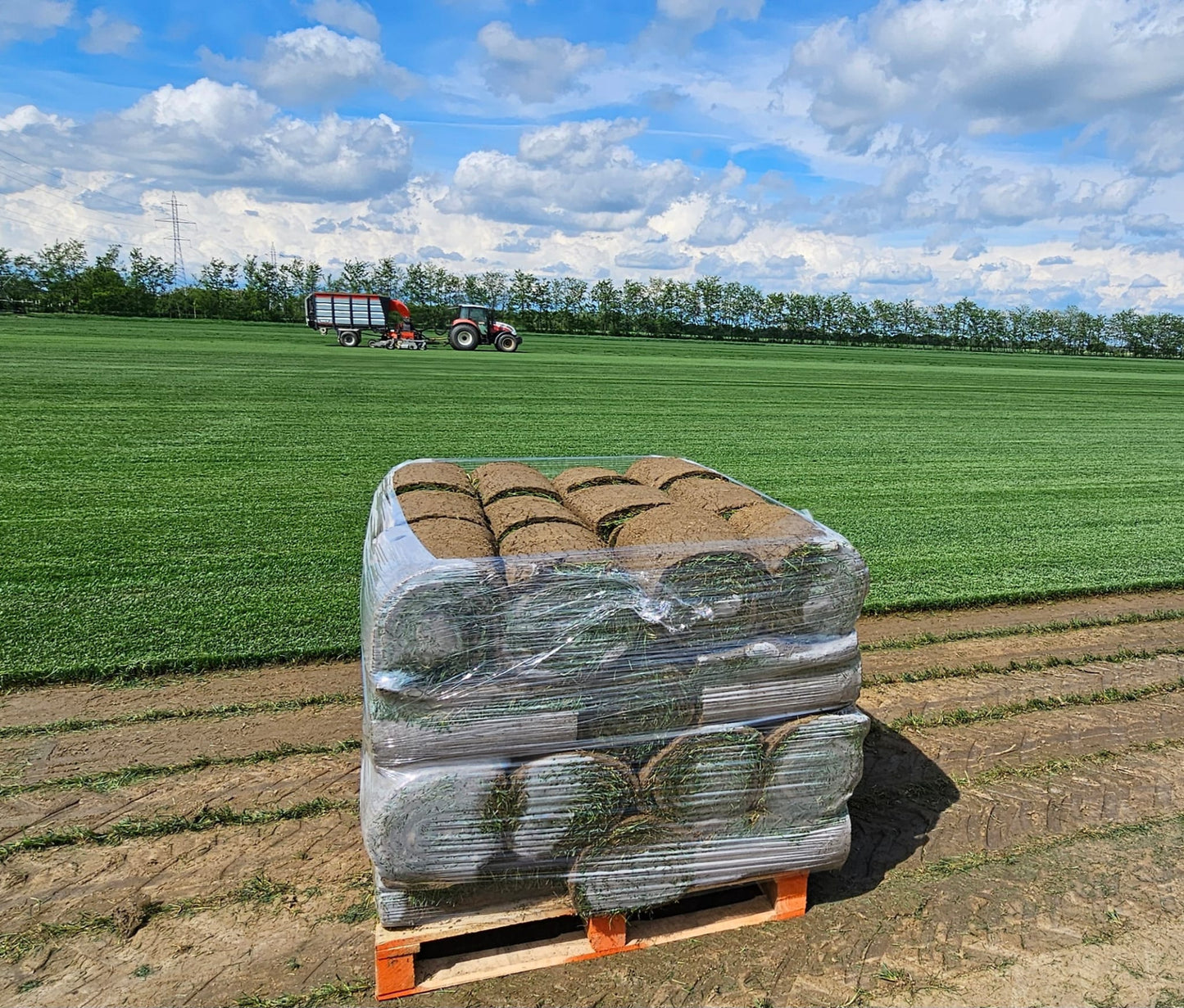 Rulouri de Gazon Sport