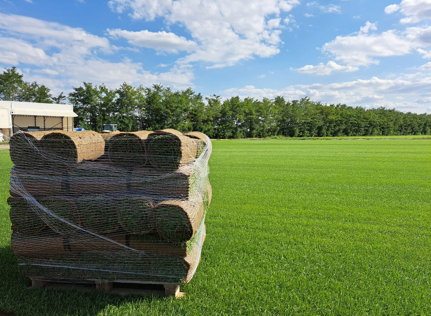 Rulouri de gazon Rustic