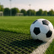 Gazon hibrid pe terenuri de fotbal: merită?