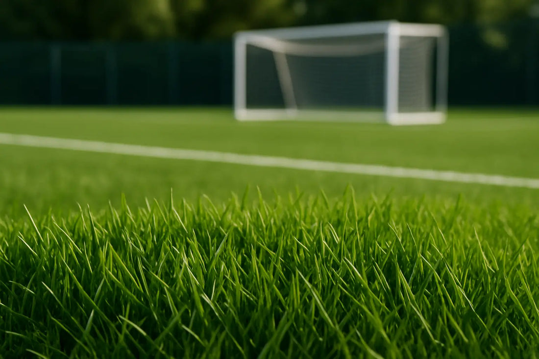 Gazon pentru terenuri sport: ce merită cu adevărat