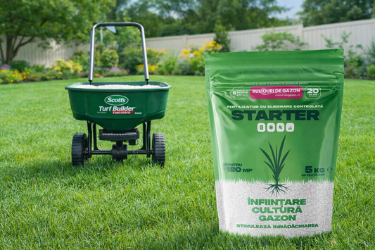 Fertilizant starter pentru gazon – creștere rapidă și prindere sigură