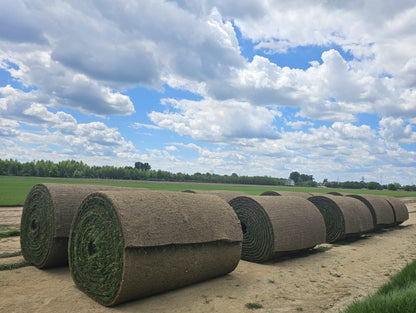 Rulouri de Gazon Supersport