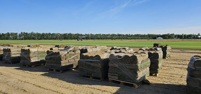 Rulouri de gazon Rustic