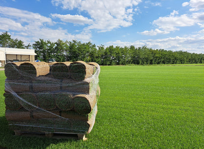 Rulouri de gazon Rustic