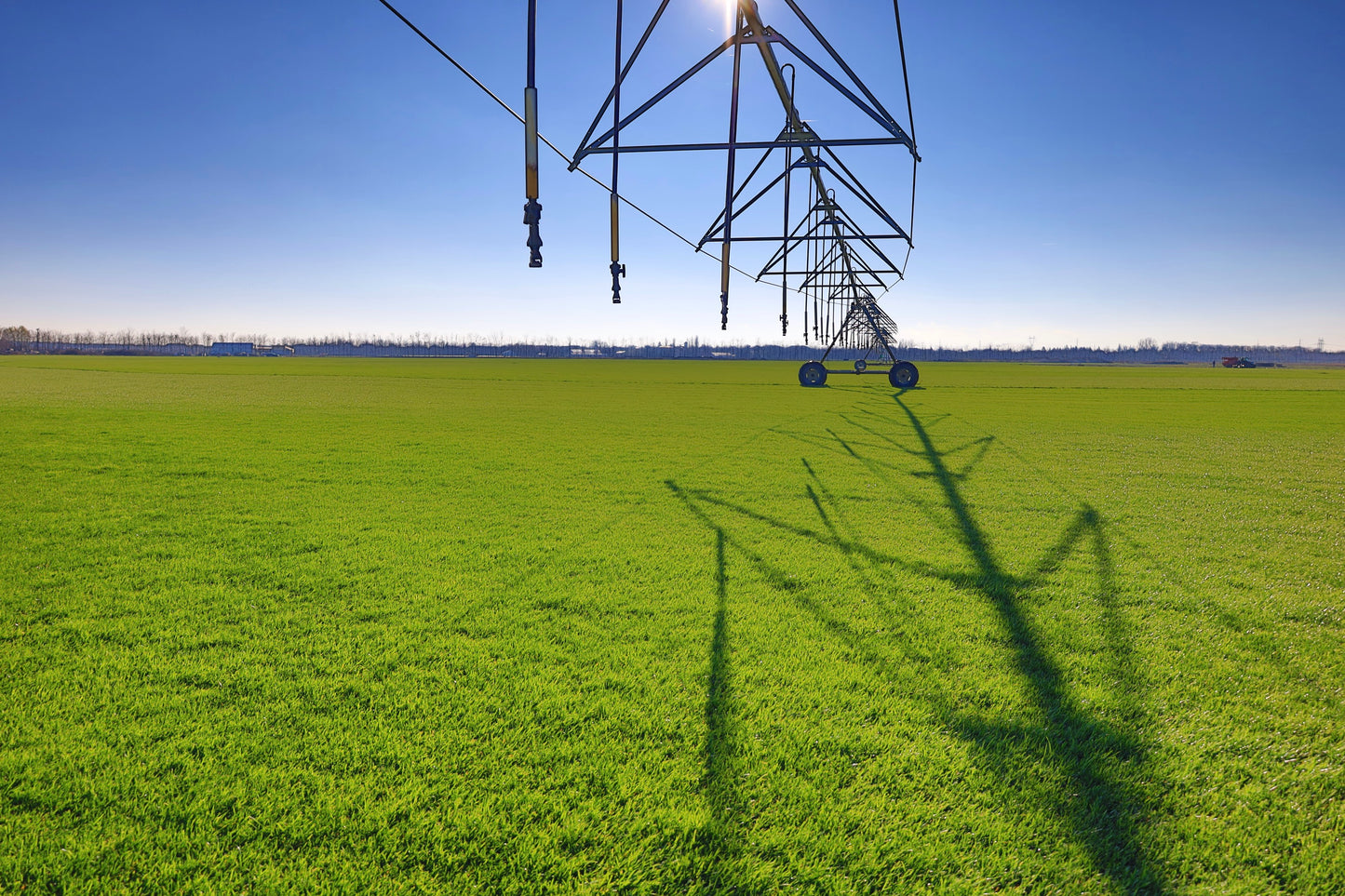 Rulouri de Gazon Sport