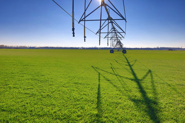 Rulouri de Gazon Sport