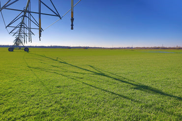 Rulouri de Gazon Supersport