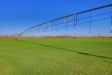 Rulouri de gazon Rustic