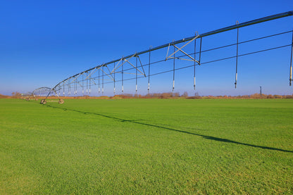 Rulouri de gazon Rustic